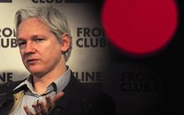 Nhà sáng lập WikiLeaks sẽ tranh ghế Thượng viện Úc