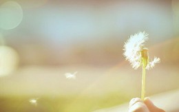 Bắc nhịp trái tim kỳ 169: Sống là cho