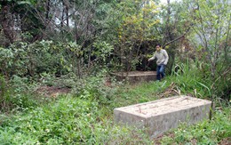 Bản án... 4 ngôi mộ