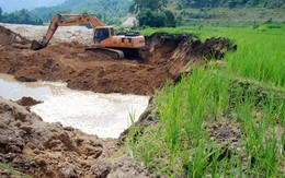 Khoét ruộng vườn để khai thác vàng