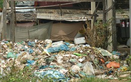 Sống chung với rác