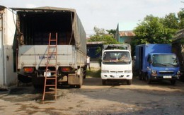 Phát hiện 3 xe tải chở gà, trứng "né trạm"