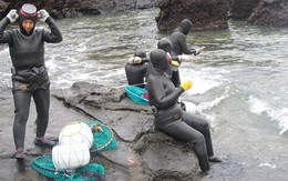 "Người cá" ở đảo Jeju