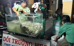 Tiêu hủy toàn bộ dồi trường thối