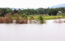 Thủy điện tích nước làm ngập đất sản xuất của dân