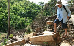 Vì sao rừng Khánh Sơn tan nát?