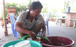 Cấp nước nhỏ giọt