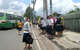 Phơi nắng chờ xe buýt