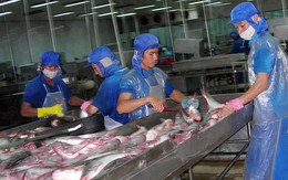 Một doanh nghiệp "bơm" 500 tỉ đồng cho Bình An