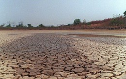 Brazil đối mặt hạn hán nghiêm trọng