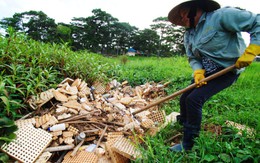 Phá nát danh thắng Đà Lạt