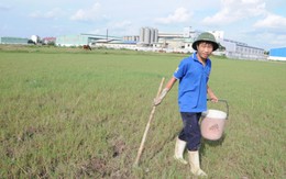 Nhà máy bia Vinaken xây không phép