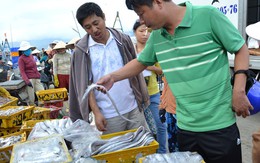 Mua thủy sản "chui" nhưng ai cũng biết