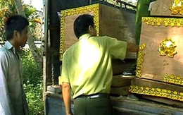 Ngụy trang gỗ lậu thành quan tài