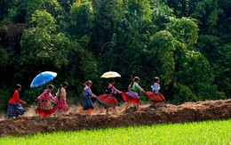 Triển lãm ảnh "Gặp gỡ mùa hè"