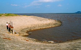 Xử tệ với biển