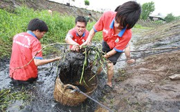 Những ngày hè nhiều trải nghiệm