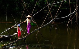 Những khoảnh khắc đẹp từ vùng Bảy Núi