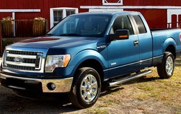 F-150 Limited - "lực sĩ" của Ford?