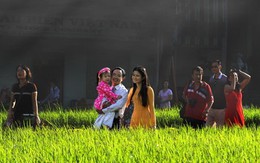 Cây roi gia pháp thời toàn cầu hóa