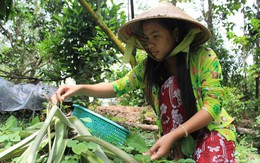 Tự kiếm tiền làm lộ phí đi thi