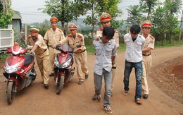 "Bồ câu trắng" bắt cướp