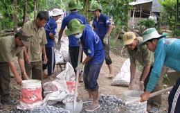 Công trình xanh trên quê hương Tháp Mười