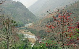 Khám phá bí ẩn trên dòng Nho Quế