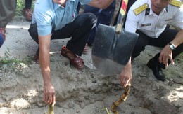 Mang lũy tre làng ra Trường Sa