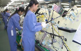 Tốt nghiệp ĐH có thể đi XKLĐ Nhật Bản dạng nào?
