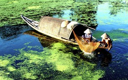 "Khai tử" chiếc đò truyền thống Huế