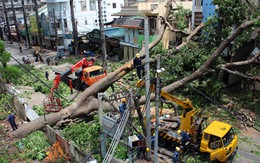 Tàu thuyền Quảng Ninh đến Phú Yên phải tránh trú