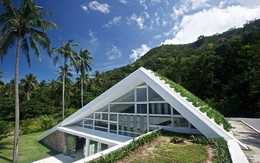 Dinh thự xanh: đơn giản mà thanh thoát