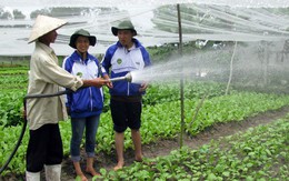 "Xắn tay áo" đổi mới xóm làng