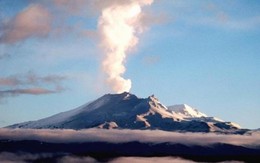 New Zealand: núi lửa bất ngờ hoạt động sau 100 năm