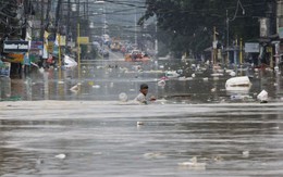 "Thảm họa nhân tai" của Manila