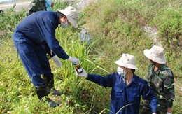 Sau Đà Nẵng là Biên Hòa