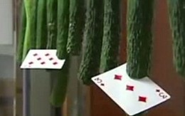 Phóng lá bài cắt trái cây