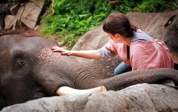 Một ngày ở trại voi Patara