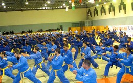 "Tập trung quảng bá hình ảnh VN qua vovinam"