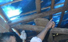 Nhà hư không dám sửa