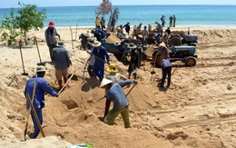 Đua nhau "móc ruột" bãi biển