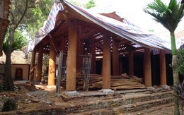 Chữa bệnh di tích phải đúng "bác sĩ"