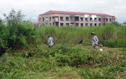 Ngăn rắn độc vào nhà dân