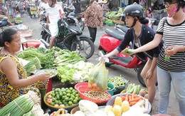 Chọn rau sạch kiểu may rủi
