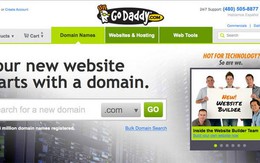 GoDaddy "sập" máy chủ, Guild Wars 2 bị hack