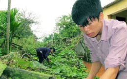 Khát vọng của chàng tân sinh viên y khoa mồ côi