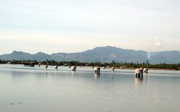 Âu thuyền An Hòa vắng bóng tàu