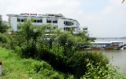 Cỏ dại mọc tràn giữa phố