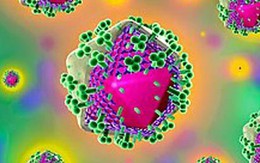 Nhật Bản tìm ra kết cấu phân tử protein kháng HIV